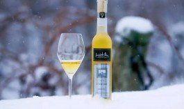 Những loại rượu vang tuyết ngon nhất thế giới